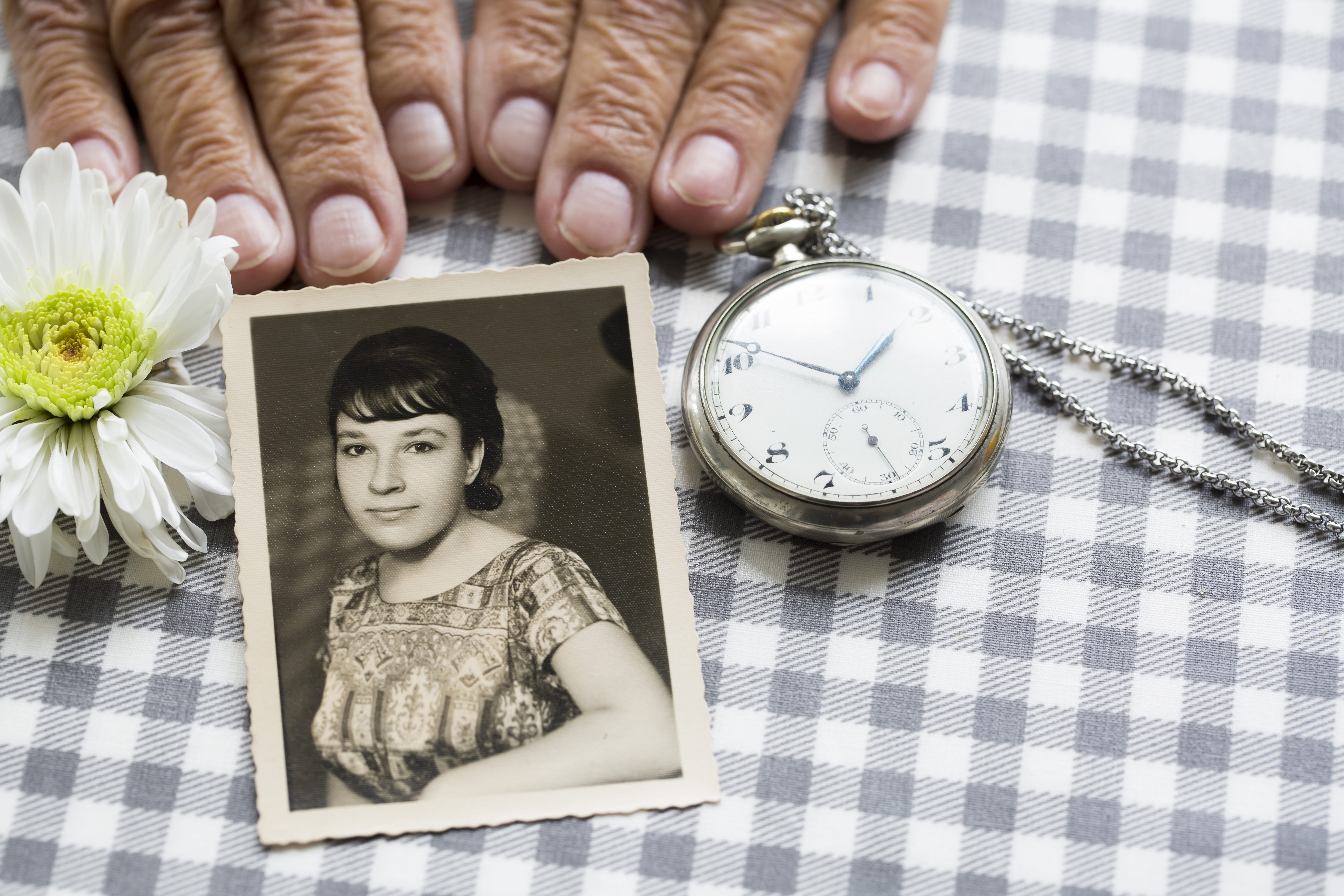 Give A Gift That Keeps On Giving